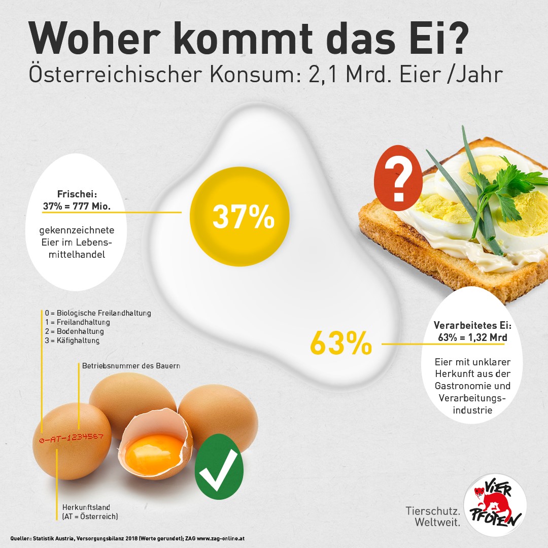 Mahnung am Welt-Ei-Tag: Österreich importiert Tierleid im großen Stil